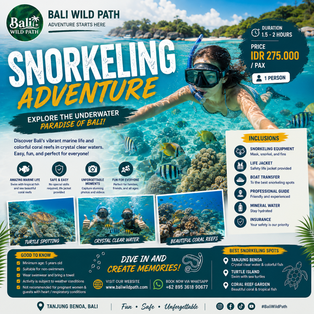 SNORKELING ADVENTURE